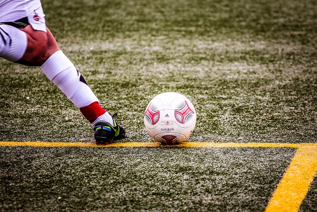 界杯上獲得 界杯上獲得